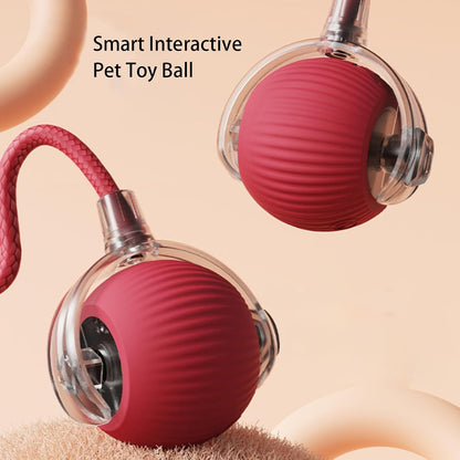 HOMY™ Playful Pet Toy Ball