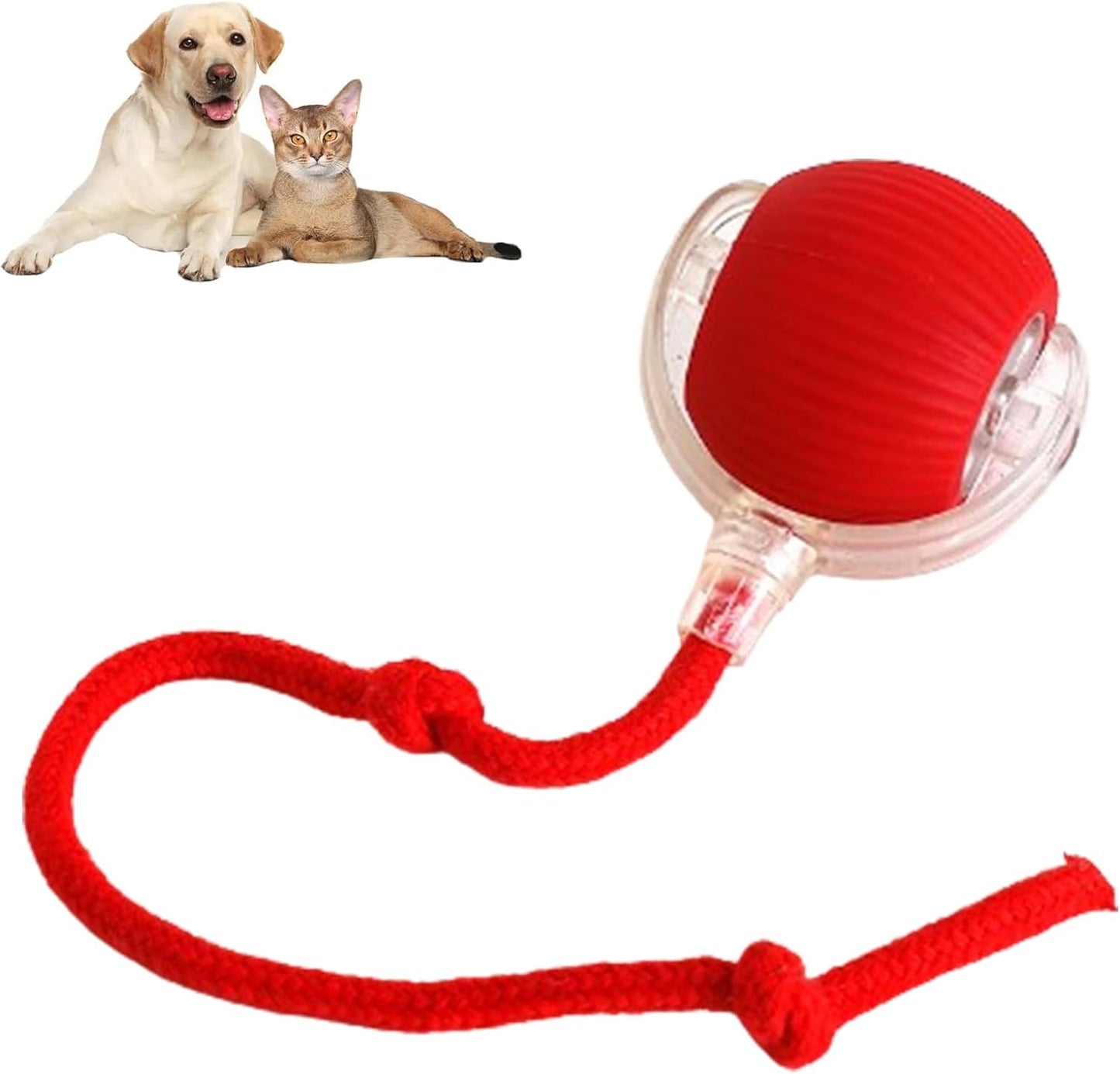 HOMY™ Playful Pet Toy Ball