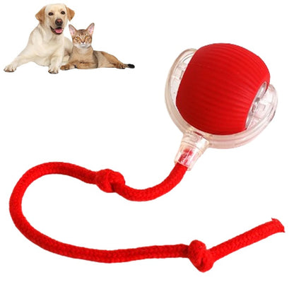 HOMY™ Playful Pet Toy Ball