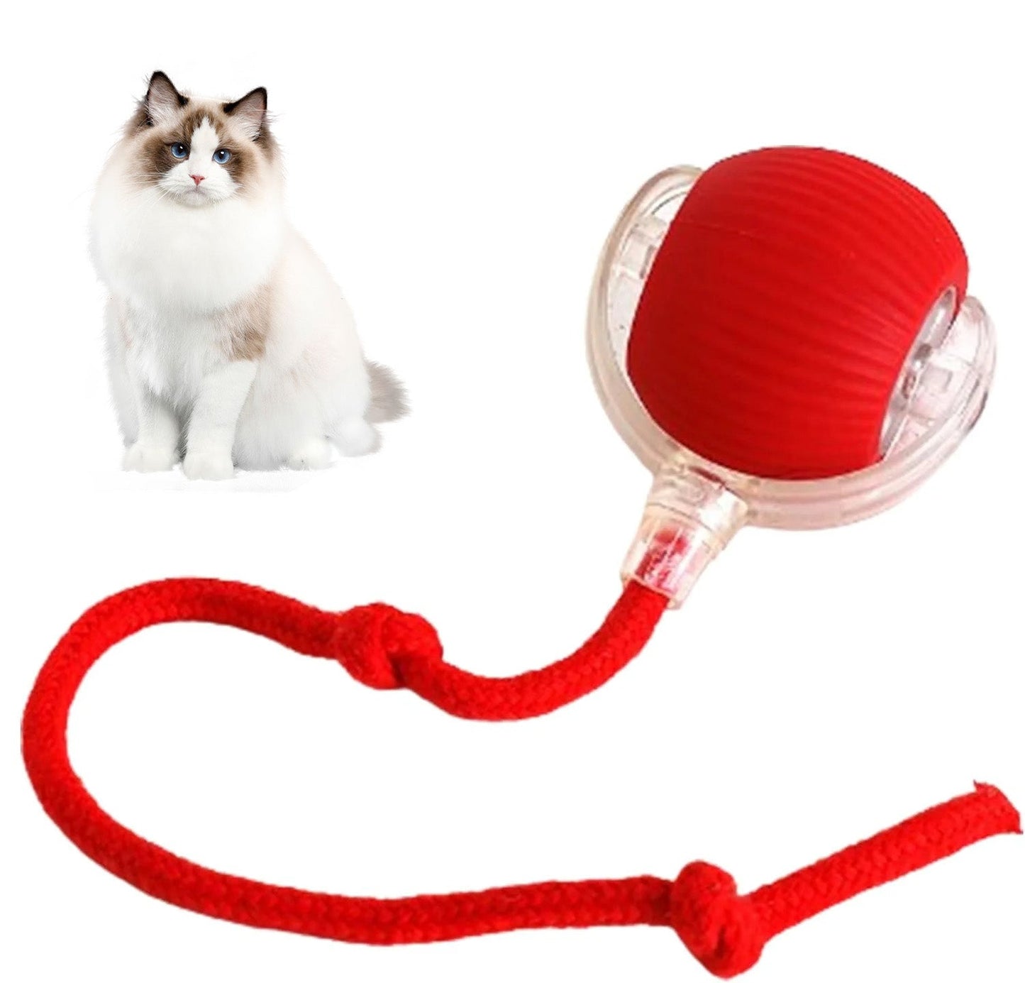 HOMY™ Playful Pet Toy Ball