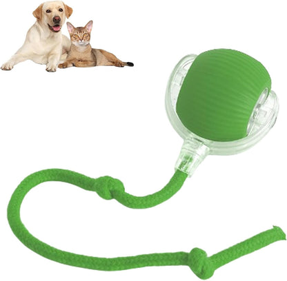 HOMY™ Playful Pet Toy Ball